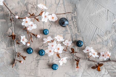 Beautiful sakura blossom with blueberries on concrete - top viewの写真素材