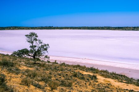 Pink lake Crosbie in Murray-Sunset National Park, Australiaの写真素材