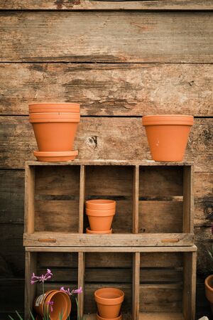 Terracota flower pots on old wooden shelves with copy spaceの写真素材