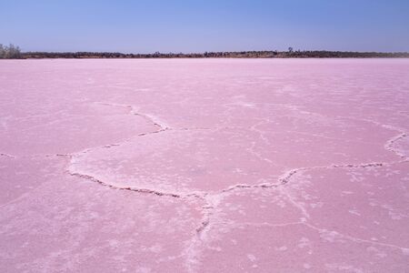 Dry pink salt lake in Australian Desert on bright sunny dayの写真素材