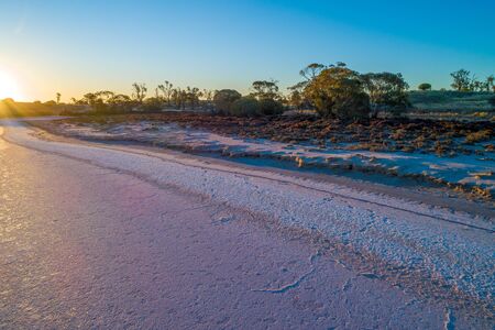 Textured surface of pink salt lake in the desert at sunsetの写真素材