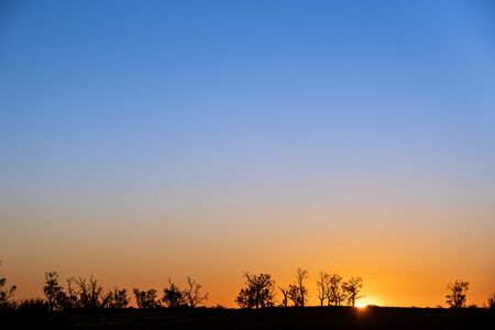 Sunset over trees with smooth color gradients from blue to orange and copy spaceの写真素材
