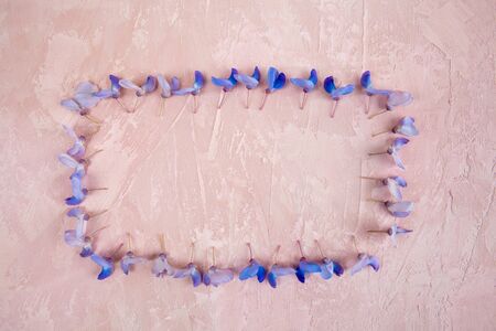 Tender blue flowers arranged in a frame on textured pink background with copy spaceの写真素材