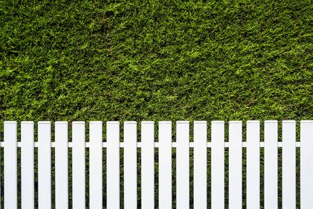 White fence and green hedge background with copy spaceの写真素材