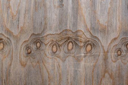 Exterior plywood texture closeupの写真素材