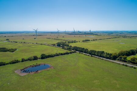 Aerial view of grazeland with cows and wind farm in bright sunlight