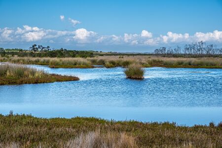 Native Australian coastal wetlands landscapeの写真素材