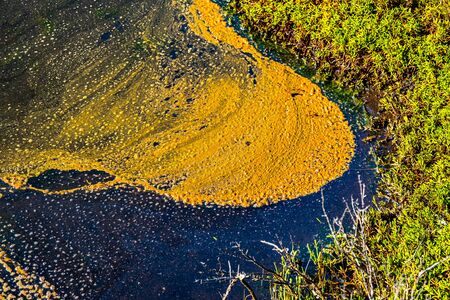 Abstract colorful vivid liquid texture