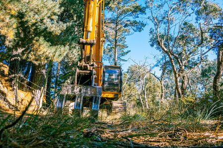 Wide angle view of industrial excavator among treesの写真素材