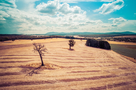 Agricultural fields on hot summer day in Australia - aerial landscape