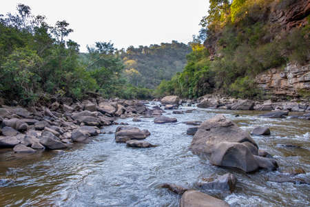 Scenic landscape of Mitchell River flowing through National Park in Australiaの写真素材