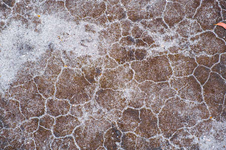 Dry sand with cracks abstract backgroundの写真素材