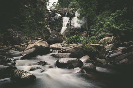 Atmospheric waterfall in a rainforest - beautiful landscapeの写真素材