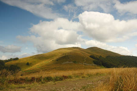 The peak of Smerek hill in Bieszczady mountainsのeditorial素材