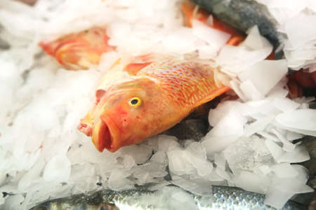 fish heap on open market as background
