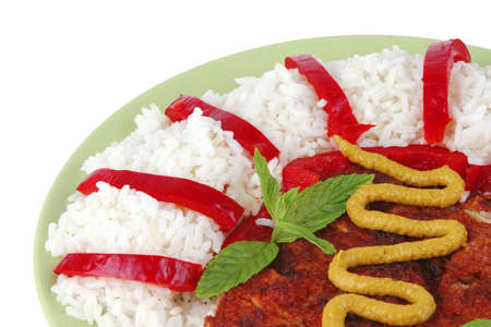 roast meat with rice and hot mustardの写真素材