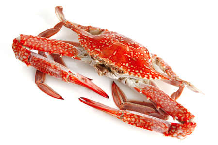 single sear orange crab over white backgroundの写真素材