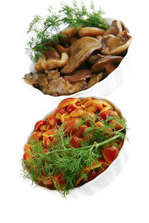 grevilles and boletus mushrooms served on white porcelainの写真素材