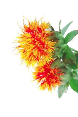 image of gold flower on white backgroundの写真素材