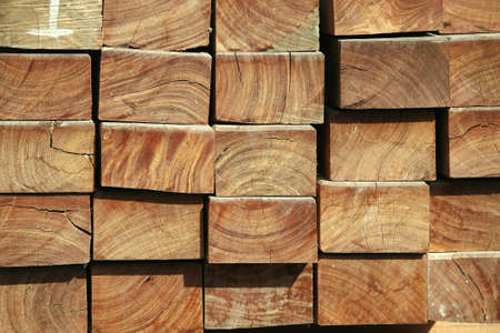 image of woods
