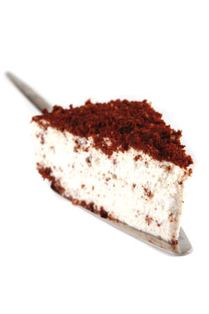 chocolate cake on metal paddle on white