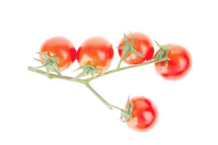 fresh cherry tomatoes isolated on white backgroundの写真素材