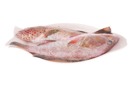 fresh uncooked raw bass fish prepared for cook