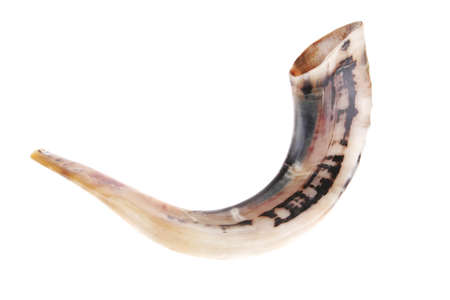 ram horn ( shofar ) isolated over white backgroundの写真素材