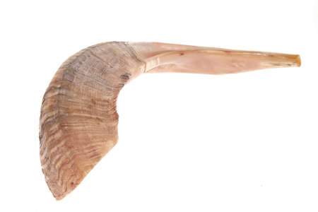 ram horn ( shofar ) isolated over white backgroundの写真素材