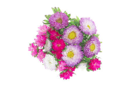 common mallow flower (malva sylvestris) isolated over whiteaの写真素材