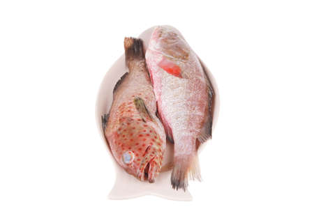 fresh uncooked raw bass fish prepared for cook