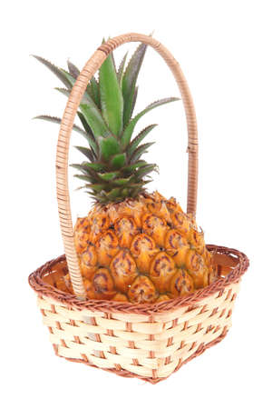 exotic fruit - single fresh raw pineapple in basket isolated over white backgroundの写真素材