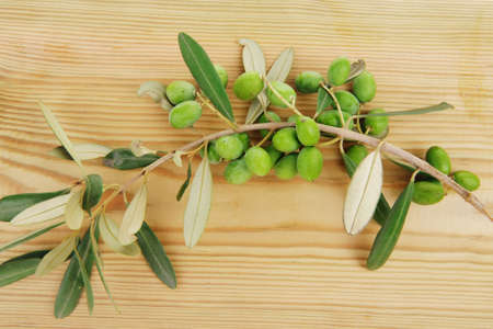 small green iraqi olives on white backgroundの写真素材