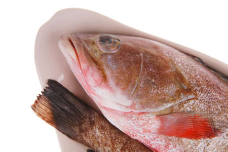 two raw fresh bass fish on ceramic plate prepared