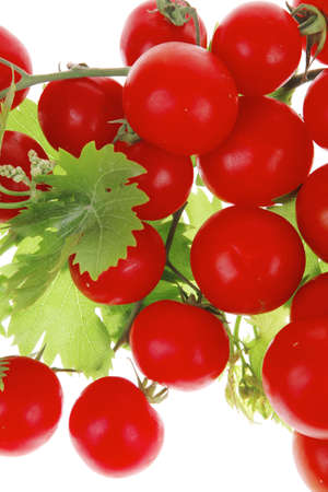 fresh cherry tomatoes on green branch with leaves isolated on white backgroundの写真素材