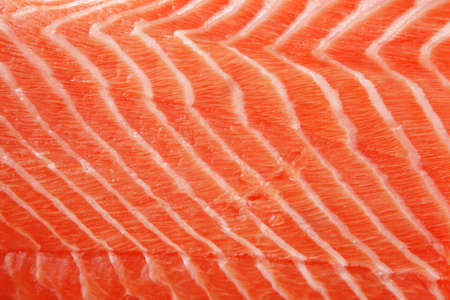 piece of big salmon fillet over whiteの写真素材