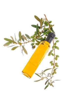 green raw olives on a branch with oilの写真素材