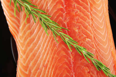 fresh raw salmon fillet on black over white and rosemaryの写真素材