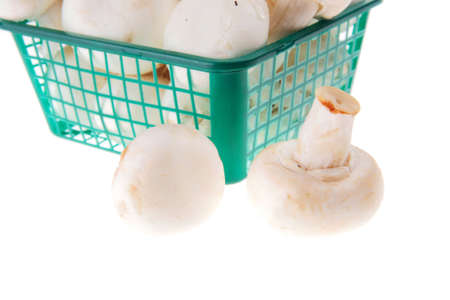 white mushroom in green basketの写真素材