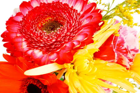 red and orange gerbera , rose and gold mums flowers in bouquet isolated over pure white backgroundの写真素材