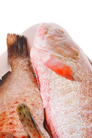 fresh uncooked raw bass fish prepared for cookの写真素材