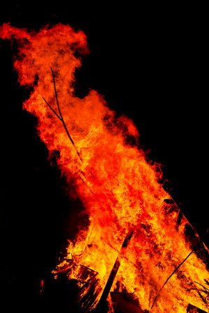 red wild fire on black backgroundの写真素材