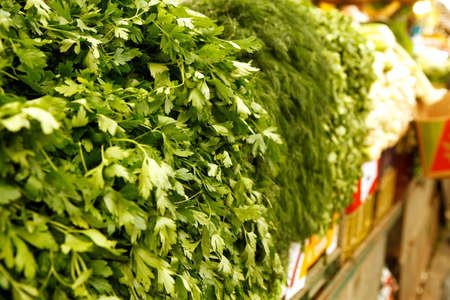 greenery on market as backgroundの写真素材