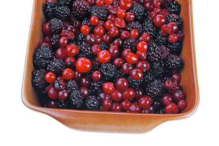 fresh raw wild red and black berriesの写真素材