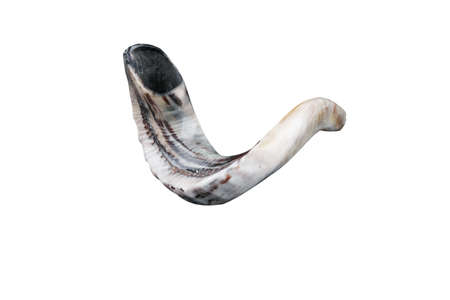 jewish small horn shofar isolated on white backgroundの写真素材