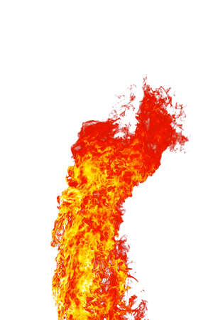 red wild fire on white backgroundの写真素材