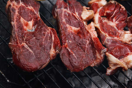 fresh red beef meat fillet steak cut on bbq grill with eggplants ready to cookingの写真素材