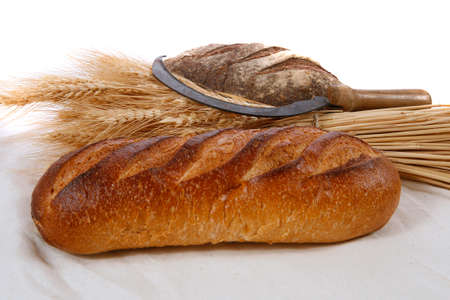bunch of mown wheat ears with vintage handmade reaper hook sickle and rye and white dark french...