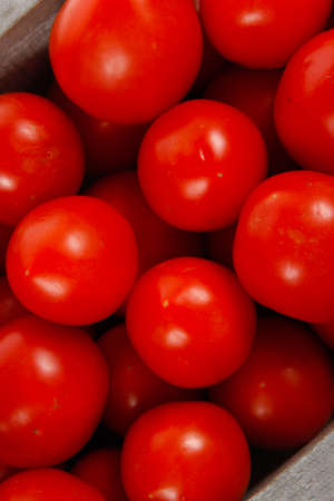fresh red raw tomatoes in antique grey retro design box isolated over white backgroundの写真素材