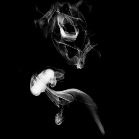 white textured smoke powder fluffy puffs explosion dust isolated on dark background as brushの写真素材